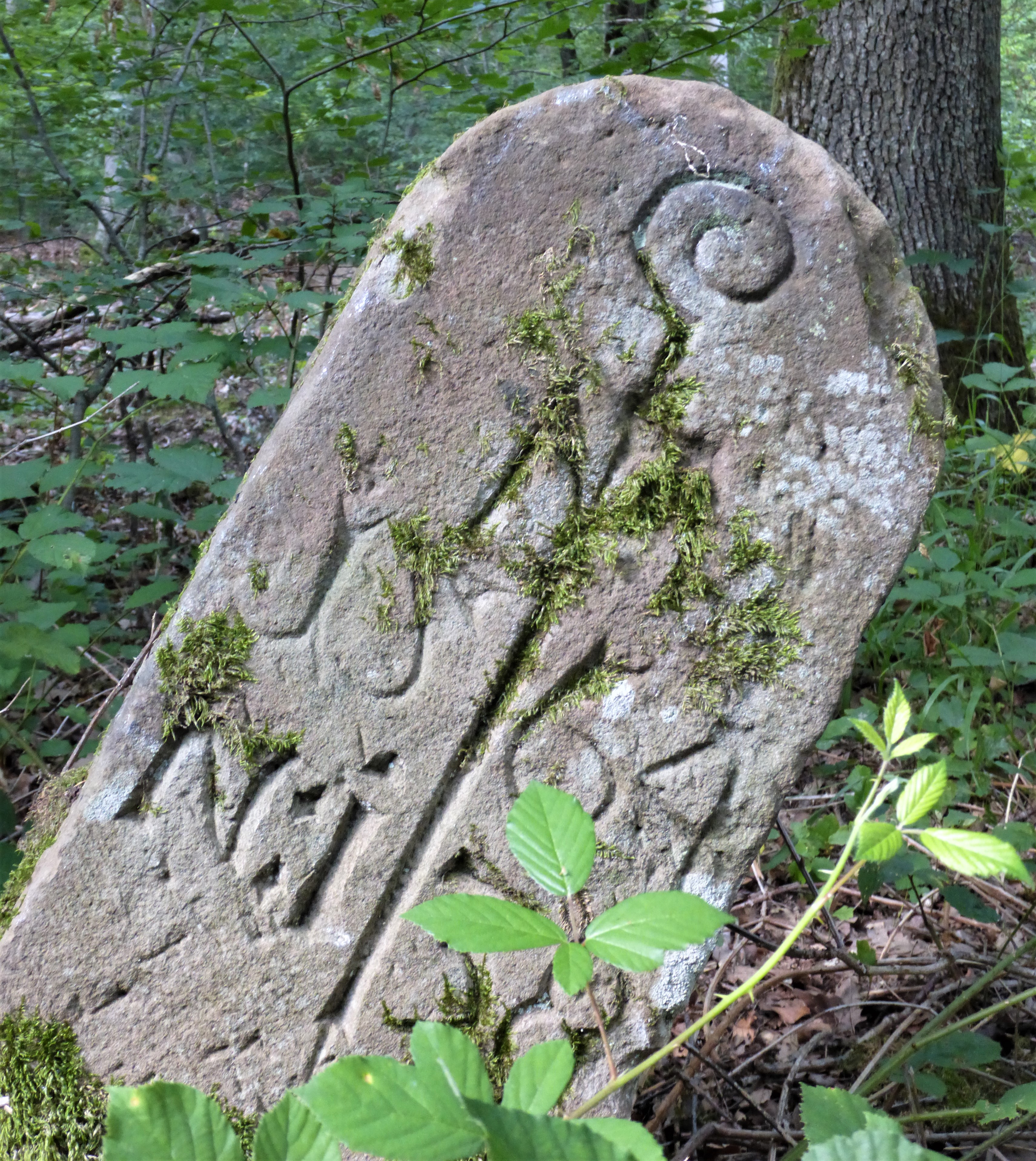  Ein schief im Wald stehener Markstein mit Abtzeichen 