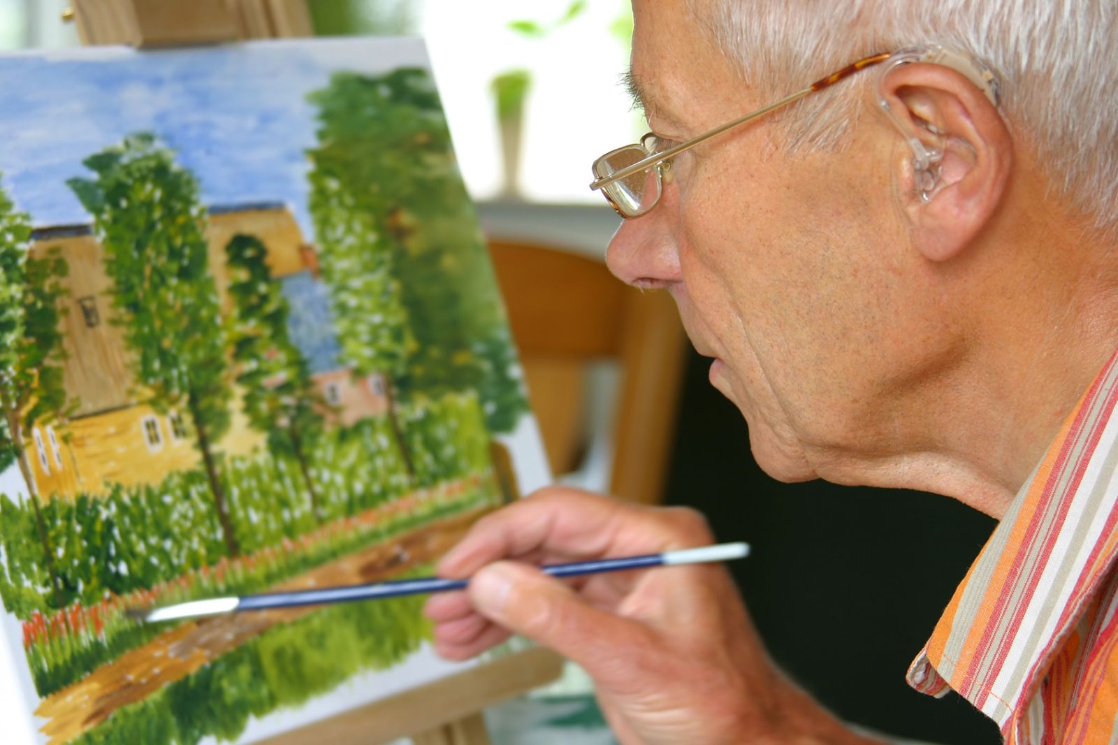  Ein älterer Herr malt ein Landschaftsbild 