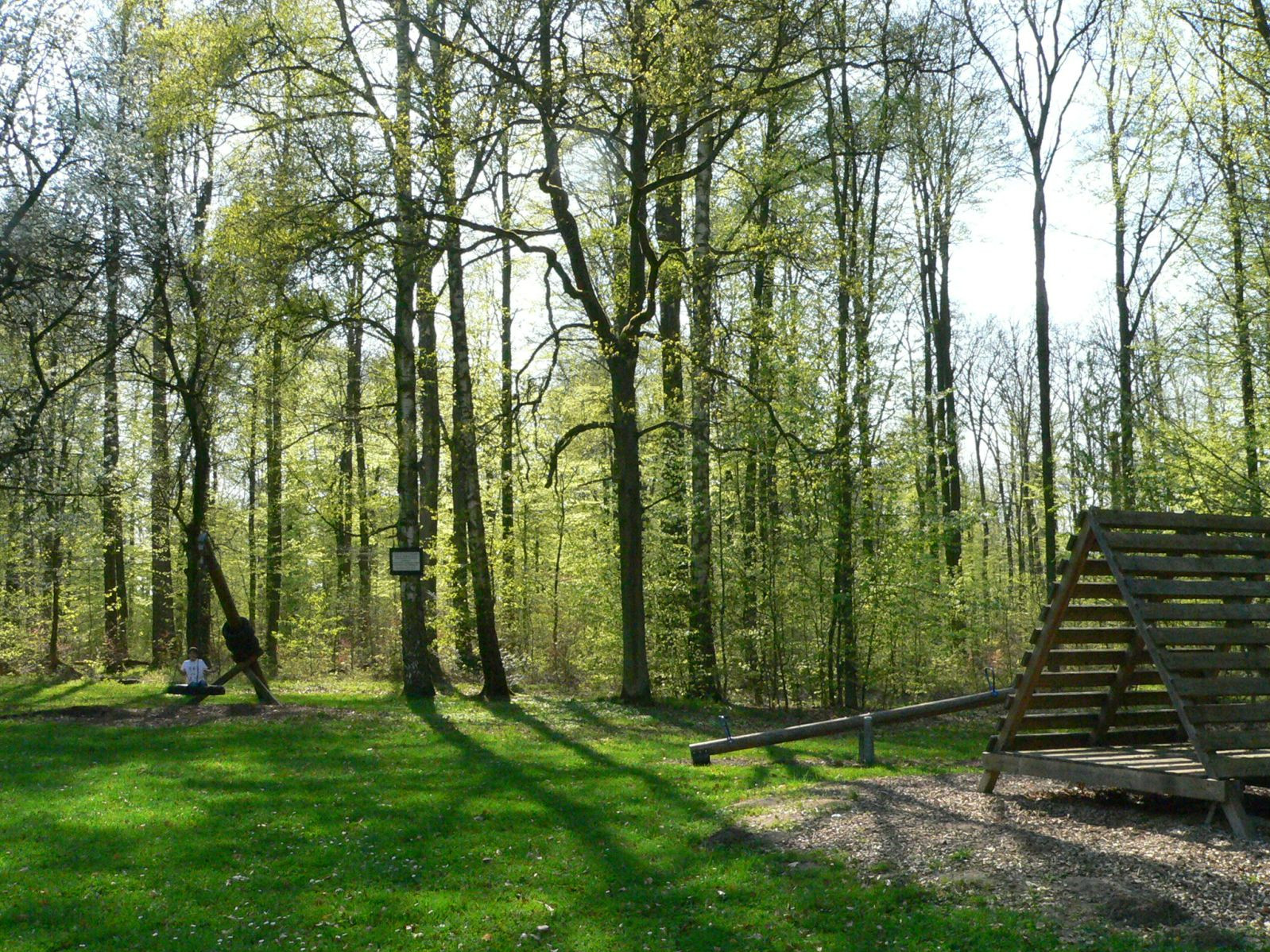 Der Waldspielplatz &quot;Schefenacker&quot; liegt idyllisch im Wald und bietet Platz zum Spielen und Bolzen.